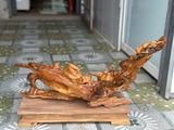  Hồng Trỹ Gỗ Bách Xanh Mộc Châu 