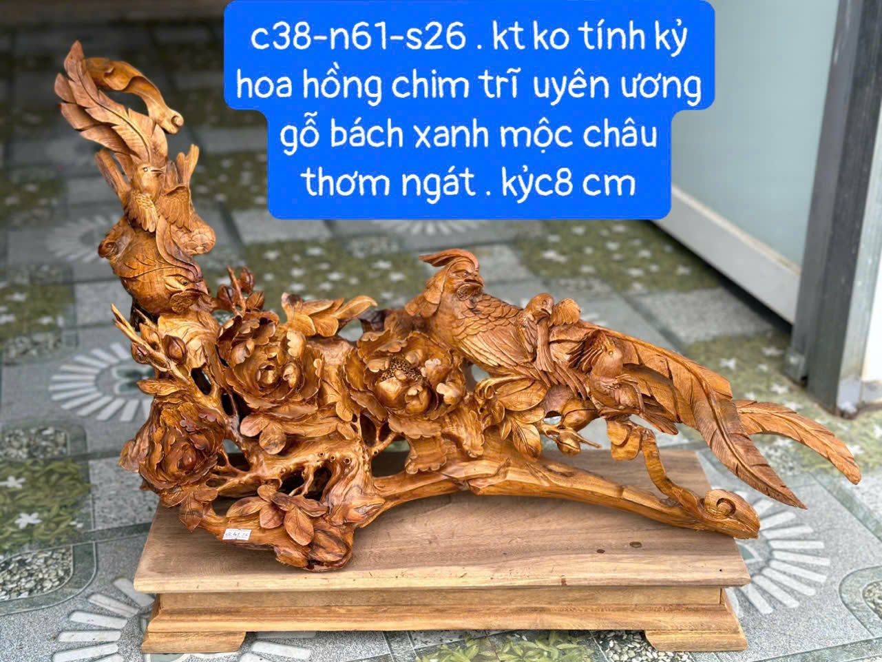  Hồng Trỹ Gỗ Bách Xanh Mộc Châu 