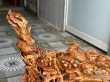  Hồng Trỹ Gỗ Bách Xanh Mộc Châu 