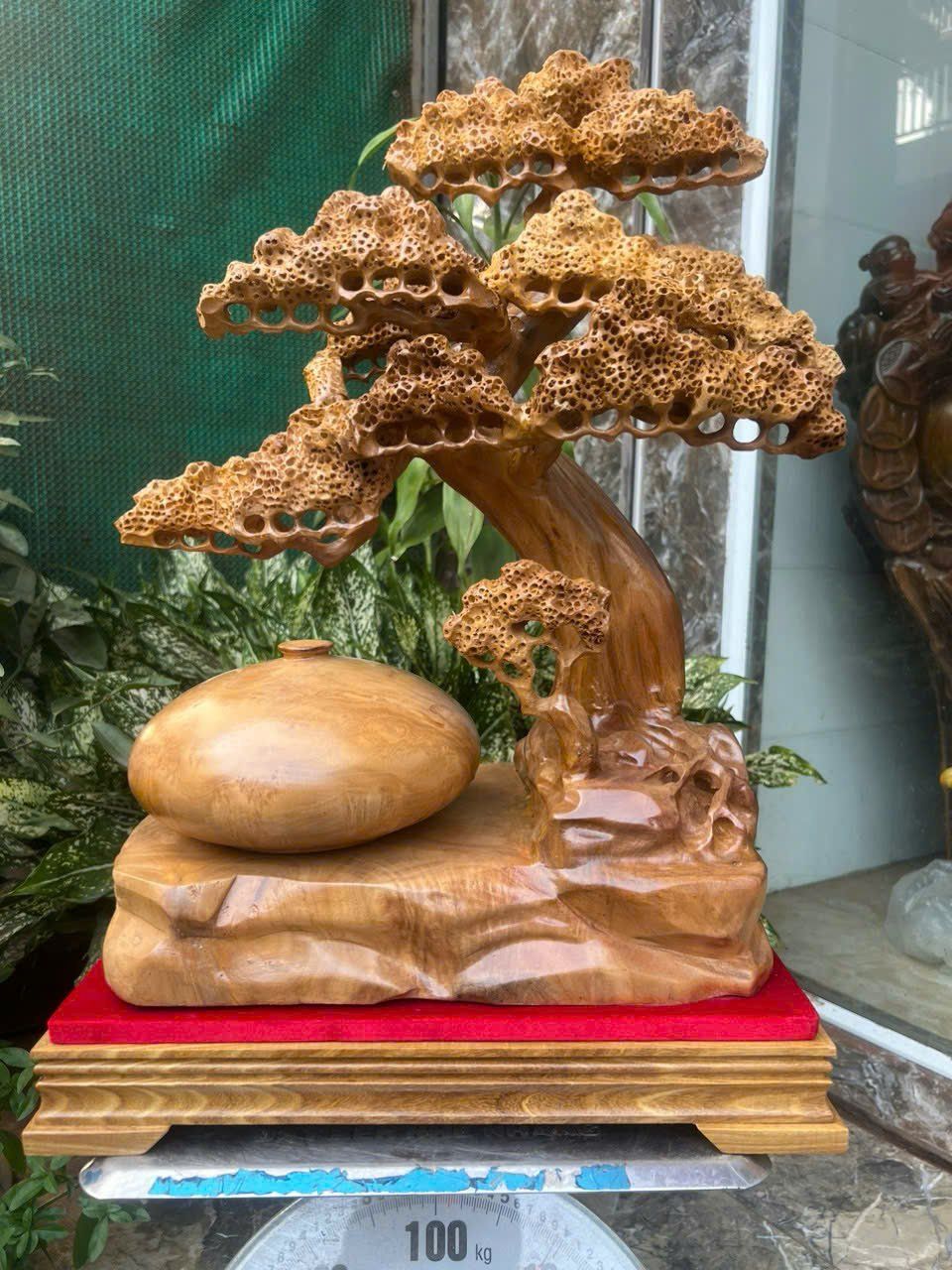  Bình Tùng Bonsai Gỗ Xá Xị Thơm Cao Cấp 