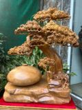  Bình Tùng Bonsai Gỗ Xá Xị Thơm Cao Cấp 