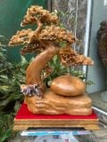  Bình Tùng Bonsai Gỗ Xá Xị Thơm Cao Cấp 