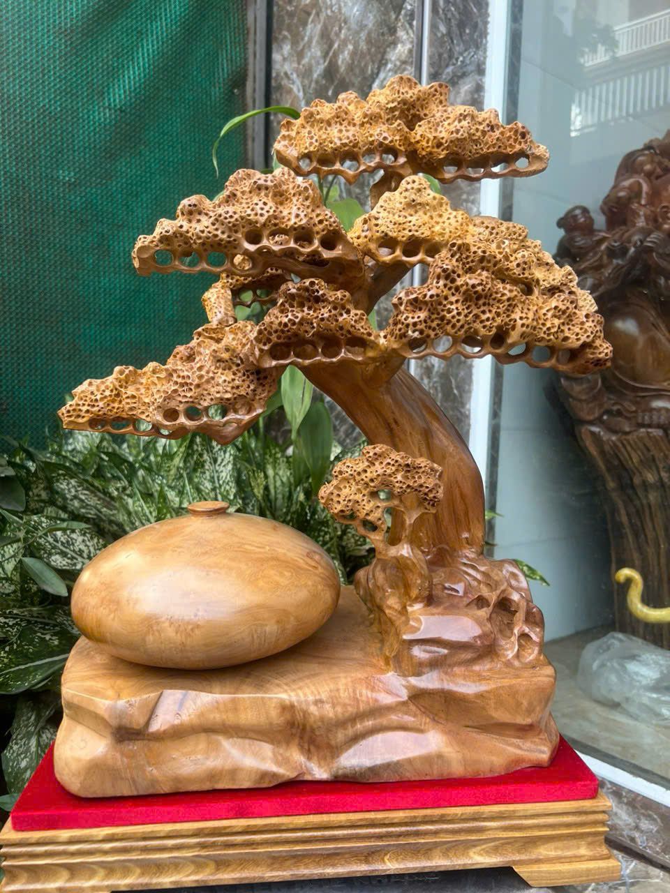  Bình Tùng Bonsai Gỗ Xá Xị Thơm Cao Cấp 