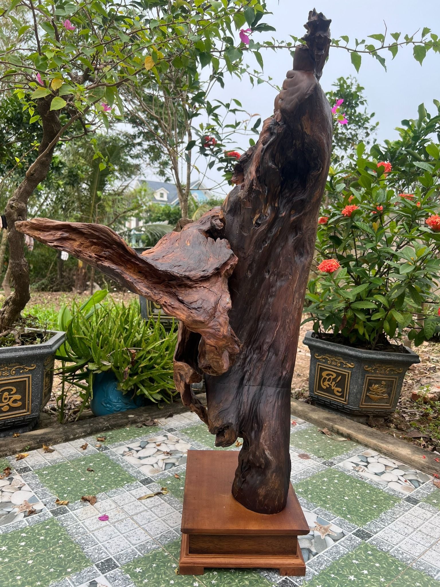  Cụ Đạt Ma Sư Tổ 