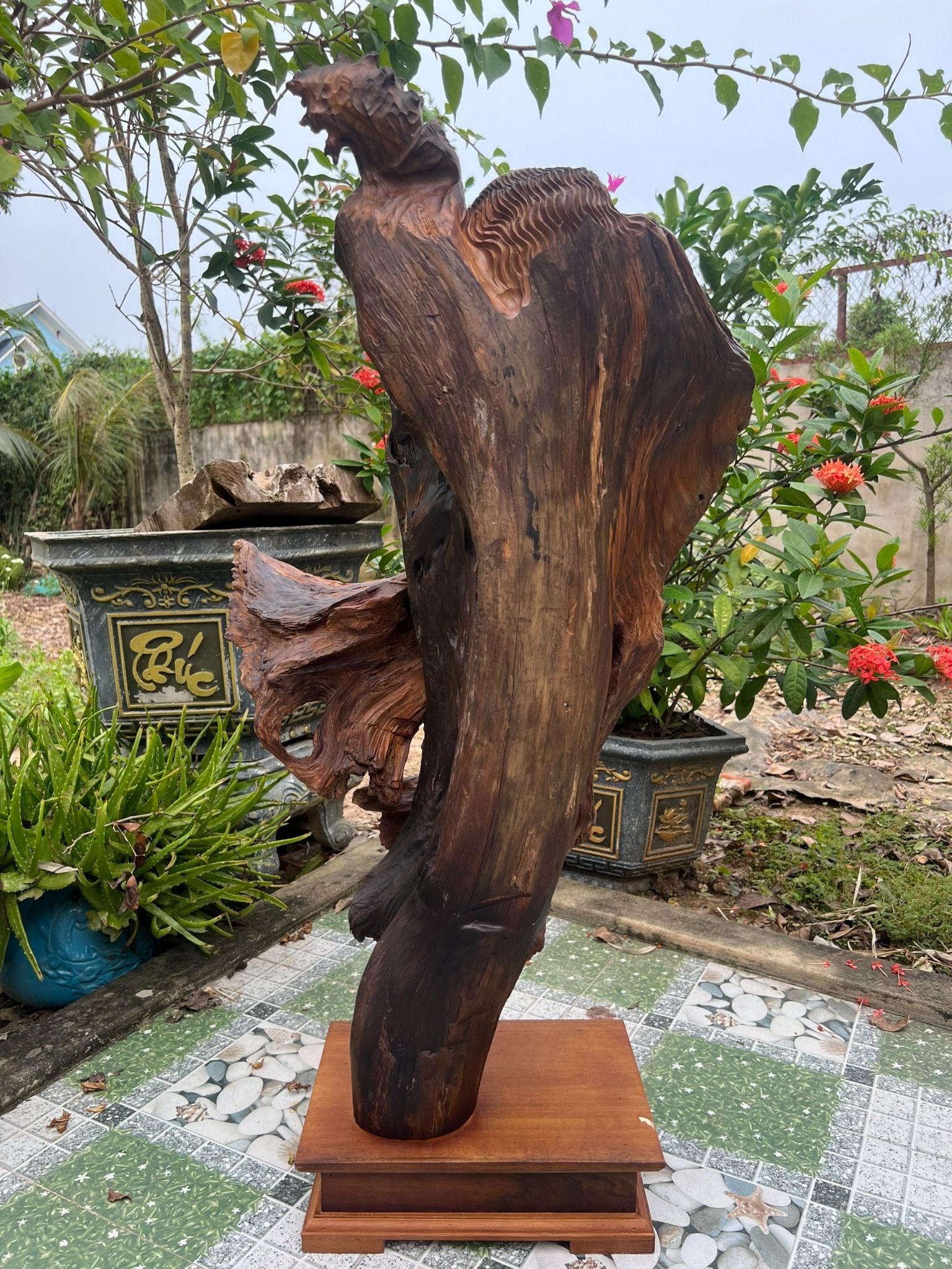  Cụ Đạt Ma Sư Tổ 