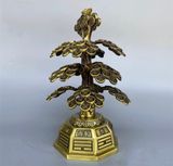  Cây tiền trang trí may mắn 