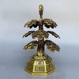  Cây tiền trang trí may mắn 