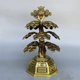  Cây tiền trang trí may mắn 