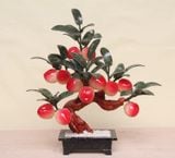  Cây Đào Ngọc Trường Thọ - Biểu Tượng Của Sự Sung Túc Và Trường Thọ 