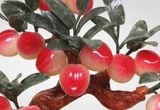  Cây Đào Ngọc Trường Thọ - Biểu Tượng Của Sự Sung Túc Và Trường Thọ 