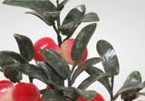  Cây Đào Ngọc Trường Thọ - Biểu Tượng Của Sự Sung Túc Và Trường Thọ 
