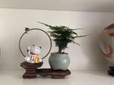  ĐỒ TRANG TRÍ MÈO THẦN TÀI MAY MẮN BK-CE-000960-VN-0020 