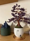  CÂY CẢNH ĐÁ MA THUẬT TRANG TRÍ BK-ST-002500-VN-0069 