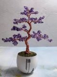  CÂY CẢNH ĐÁ MA THUẬT TRANG TRÍ BK-ST-002500-VN-0069 