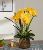  BÌNH HOA LAN TRANG TRÍ CAO CẤP BK-CE-001990-VN-0083 