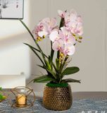  BÌNH HOA LAN TRANG TRÍ CAO CẤP BK-CE-001990-VN-0083 