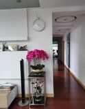  CHẬU HOA LAN HỒ ĐIỆP TRANG TRÍ CAO CẤP BK-CE-005900-VN-0096 