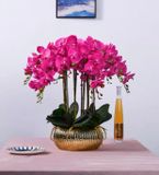  CHẬU HOA LAN HỒ ĐIỆP TRANG TRÍ CAO CẤP BK-CE-005900-VN-0096 