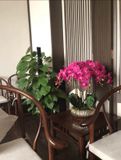  CHẬU HOA LAN HỒ ĐIỆP TRANG TRÍ CAO CẤP BK-CE-005900-VN-0096 