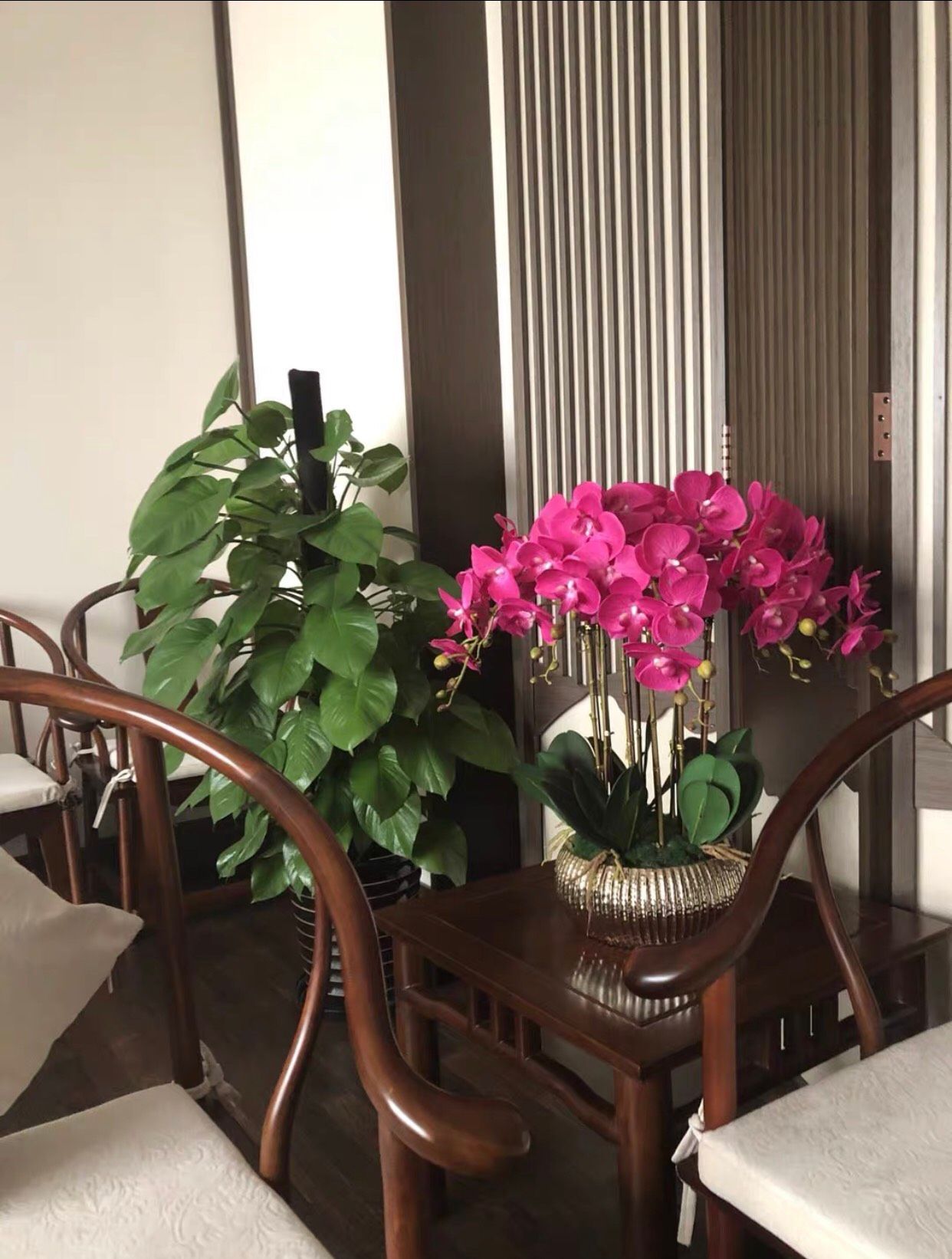  CHẬU HOA LAN HỒ ĐIỆP TRANG TRÍ CAO CẤP BK-CE-005900-VN-0096 