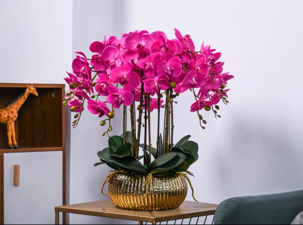  CHẬU HOA LAN HỒ ĐIỆP TRANG TRÍ CAO CẤP BK-CE-005900-VN-0096 