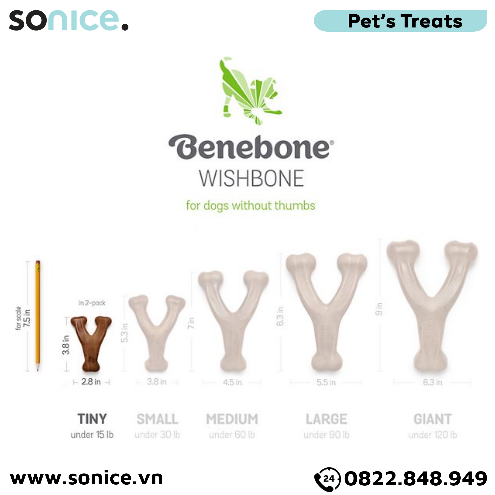  Combo 2 xương gặm Benebone Puppy Bacon cho chó con vị thịt xông khói - nhập USA SONICE. 