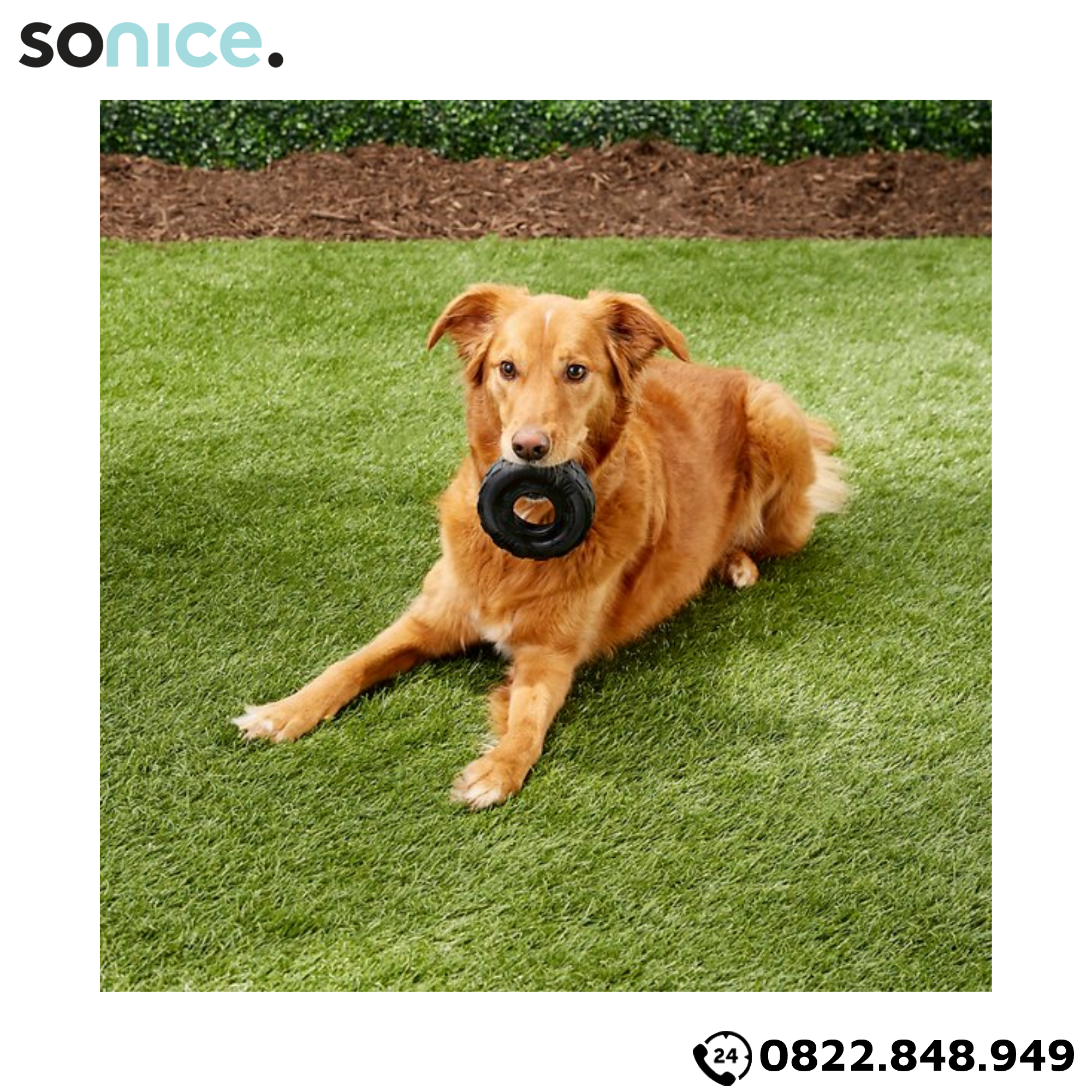  Đồ chơi Kong Tires Toys Medium Size - Cho chó 13-30kg, có thể nhét treats SONICE. 