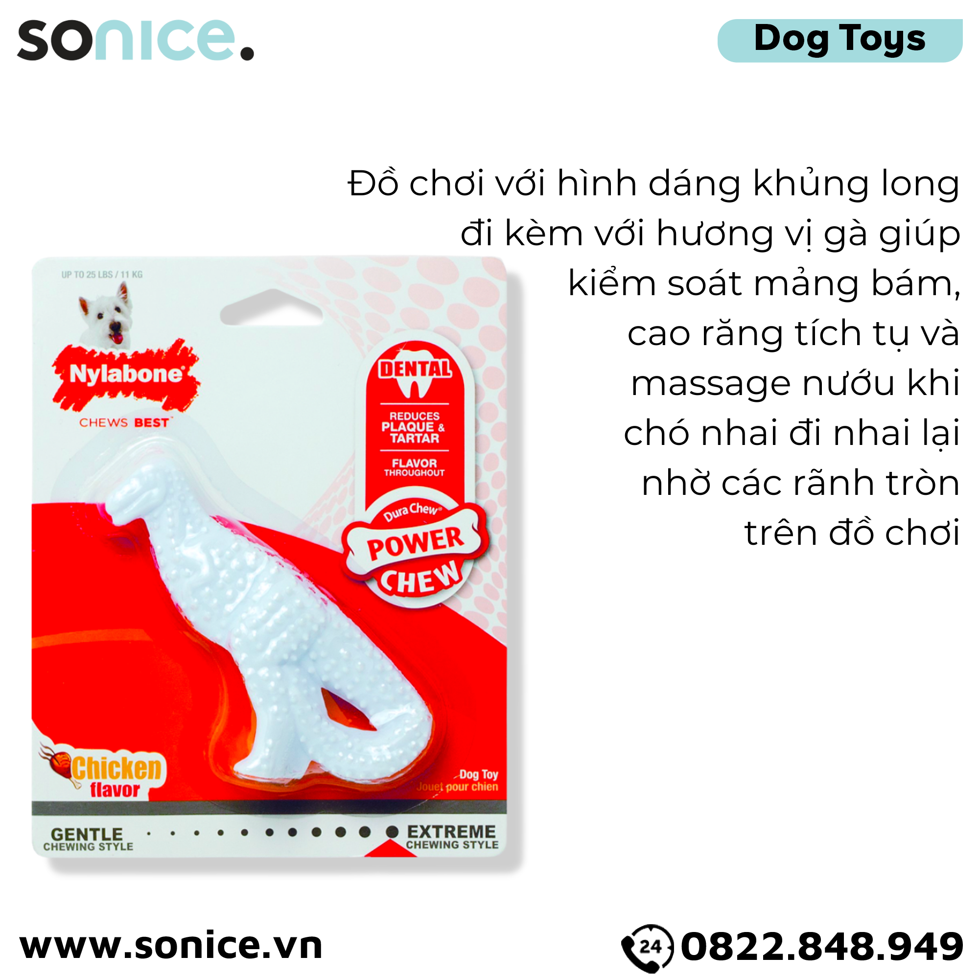  Đồ chơi Nylabone Power Chews Dinosaur Chicken Flavor Toys Small Size - Vị thịt gà, cho chó < 11kg SONICE. 