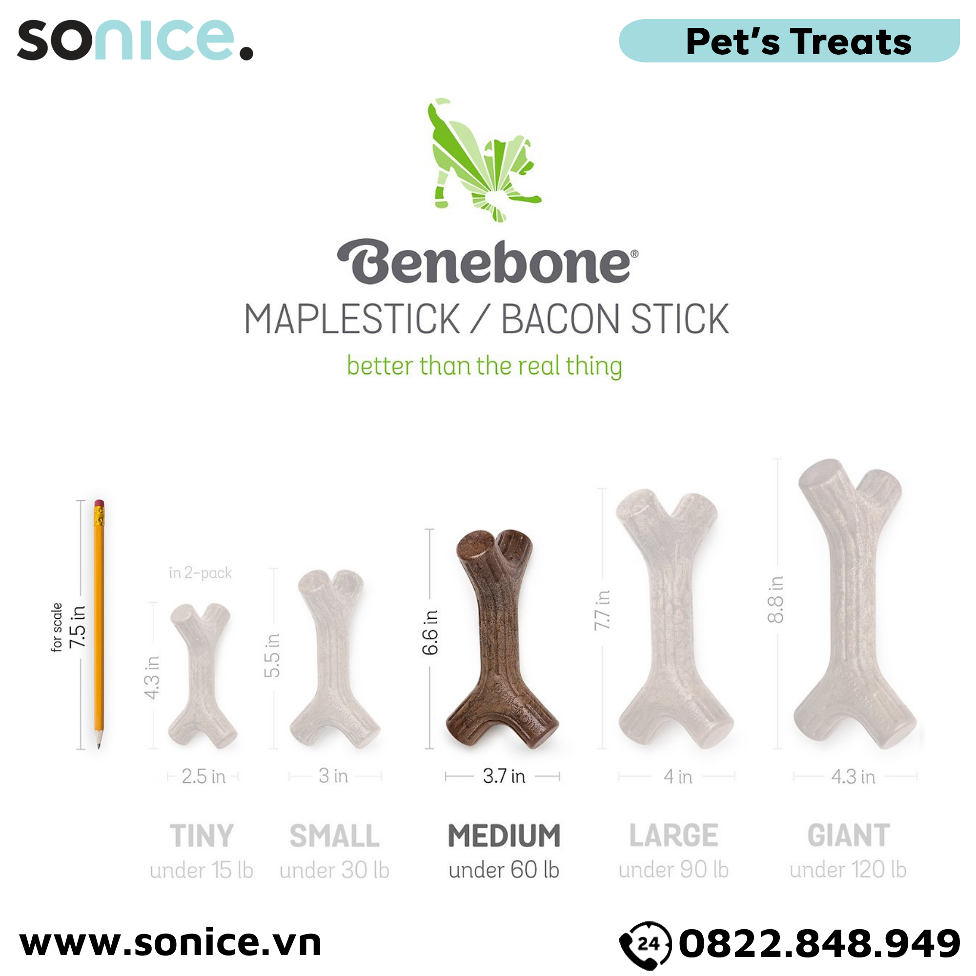  Xương gặm BENEBONE Bacon Stick Medium size cho chó <30kg - vị thịt xông khói SONICE. 