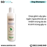  Dầu gội Budle Anti Dandruff 300ml - Trị vảy gầu SONICE. 