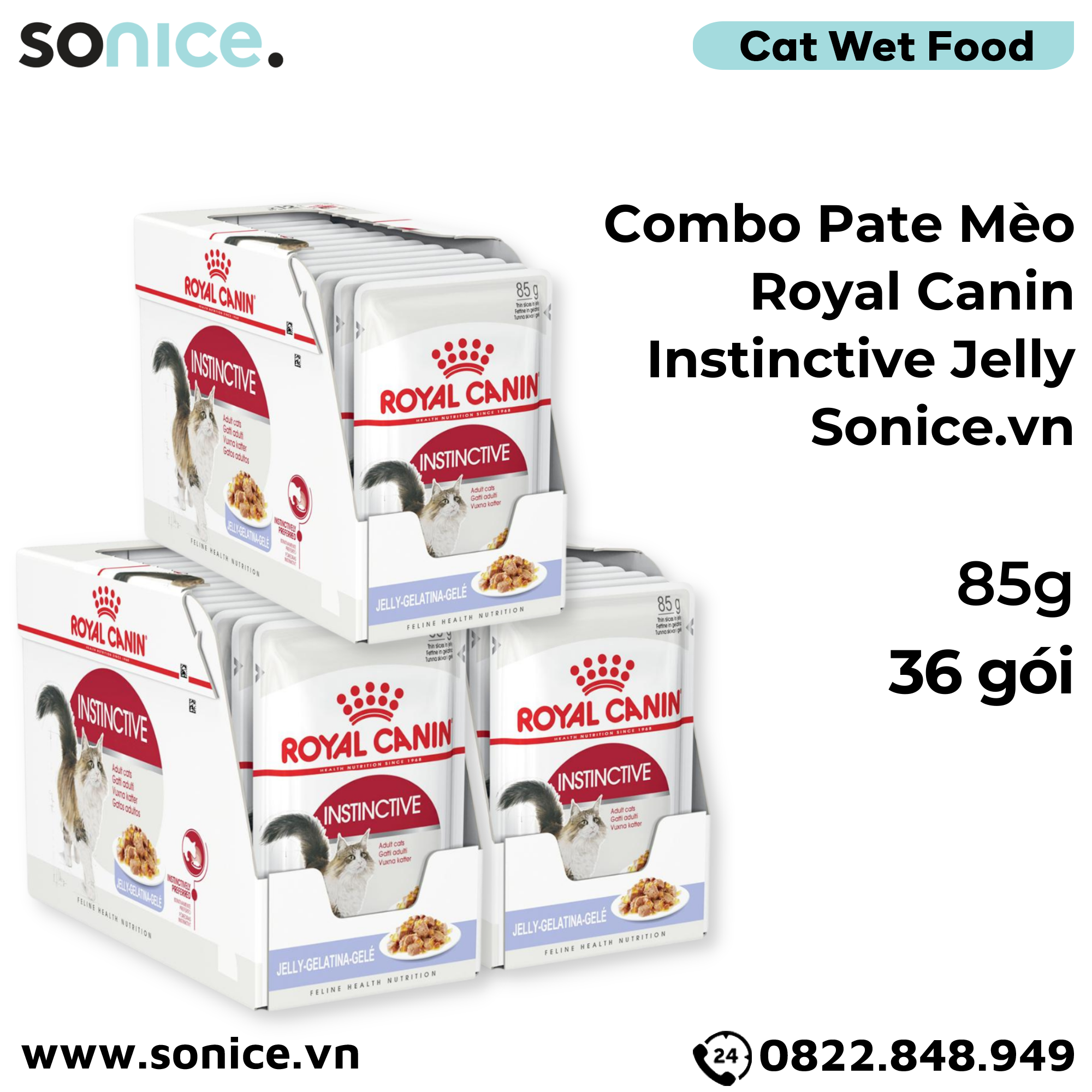  Combo Pate mèo Royal Canin Instinctive Jelly 85g - 36 gói SONICE. 