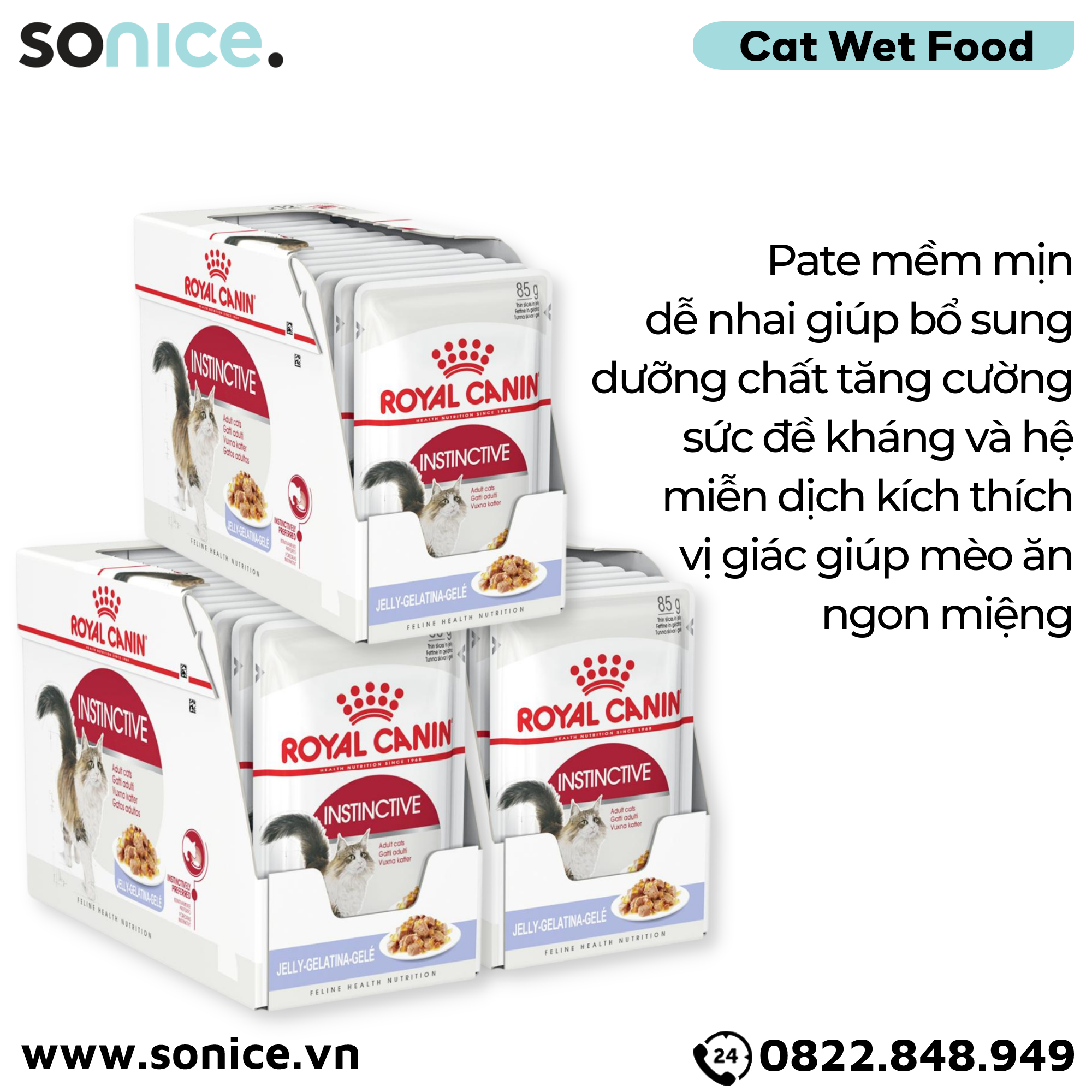  Combo Pate mèo Royal Canin Instinctive Jelly 85g - 36 gói SONICE. 