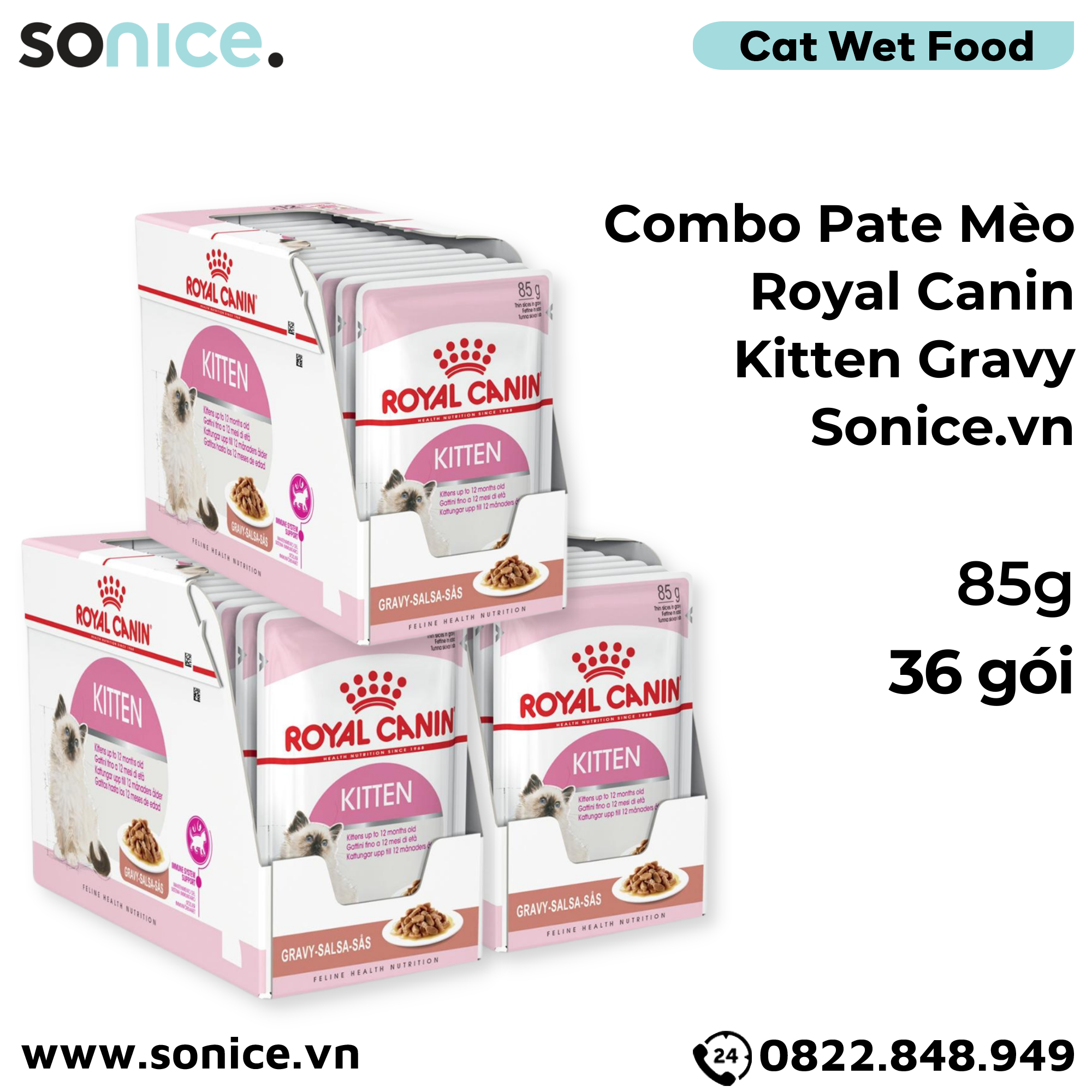  Combo Pate mèo Royal Canin Kitten Gravy 85g - 36 gói SONICE. 