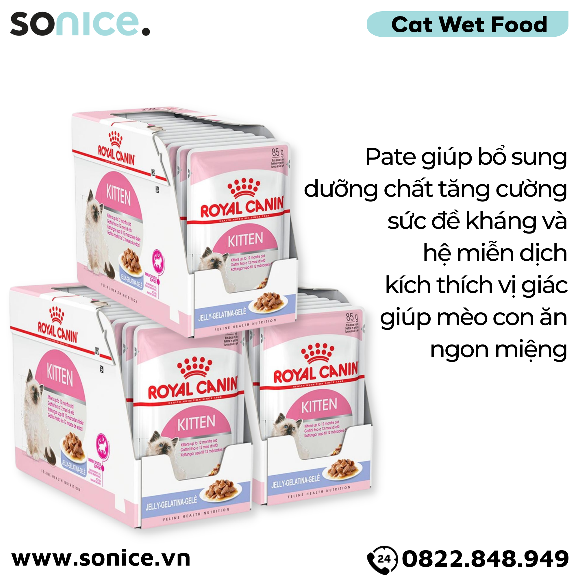  Combo Pate mèo Royal Canin Kitten Jelly 85g - 36 gói SONICE. 