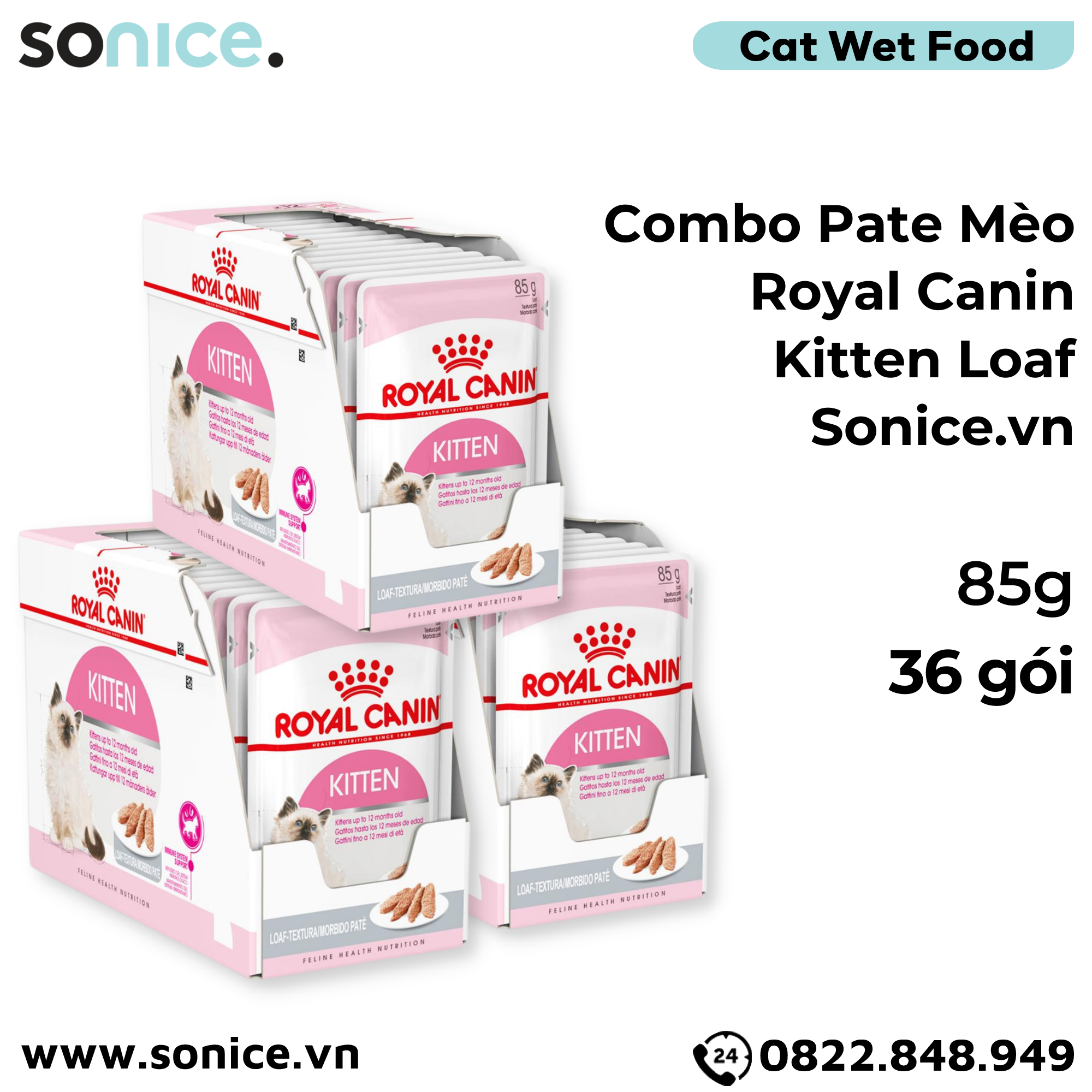  Combo Pate mèo Royal Canin Kitten Loaf 85g - 36 gói SONICE. 