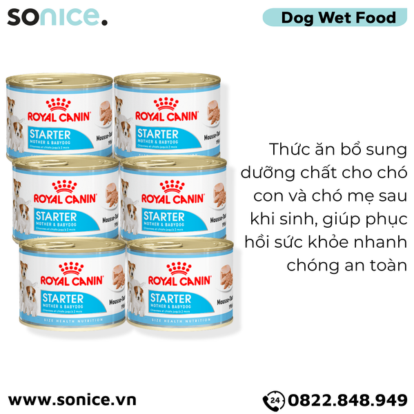  Combo Pate chó Royal Canin Mini Starter Mother & BabyDog 195g - 24 lon - Chó mẹ mang thai & chó con < 2 tháng SONICE. 