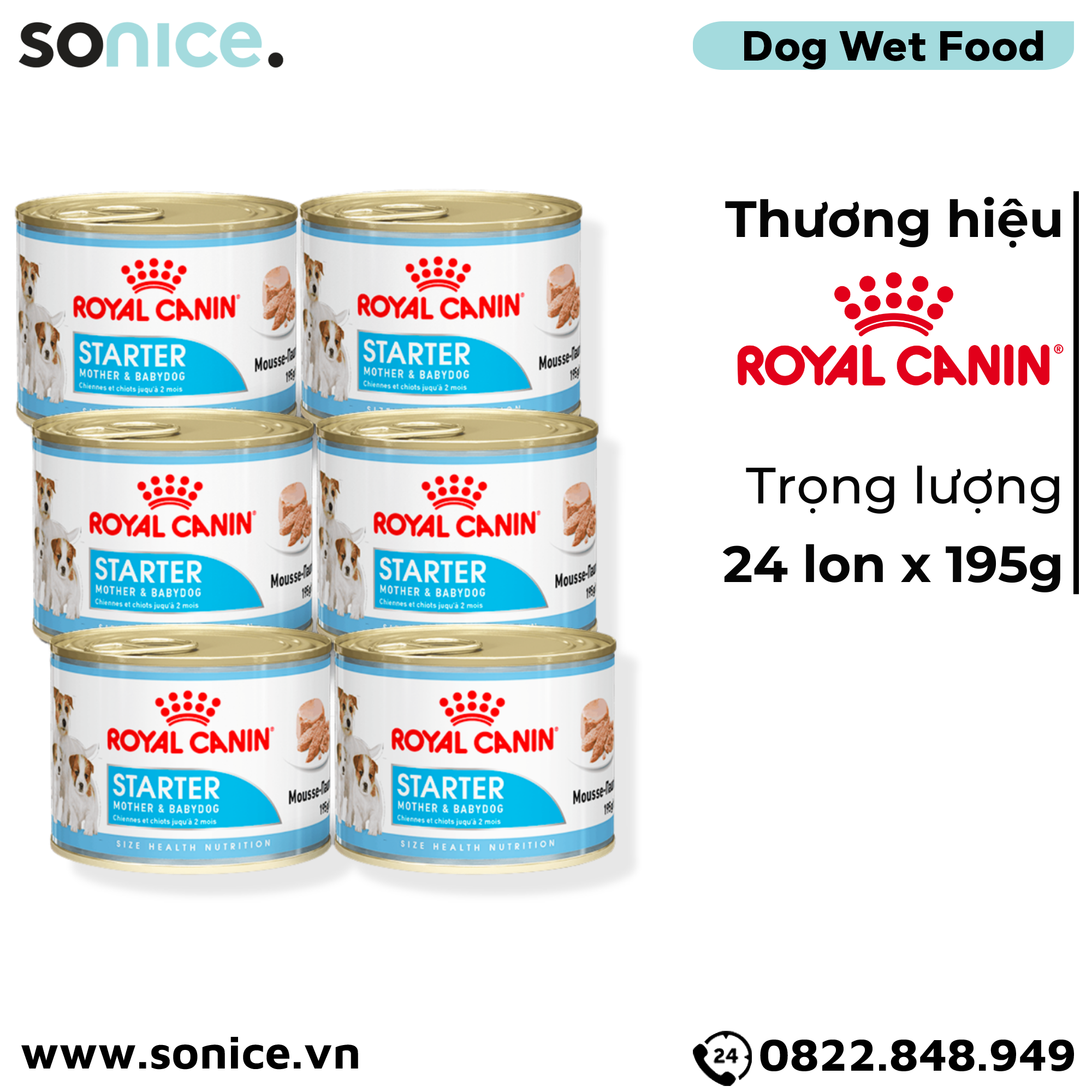  Combo Pate chó Royal Canin Mini Starter Mother & BabyDog 195g - 24 lon - Chó mẹ mang thai & chó con < 2 tháng SONICE. 