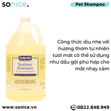  Sữa tắm DAVIS Tearless Shampoo 3.785L - Không gây cay mắt, dành cho chó mèo mọi lứa tuổi SONICE. 