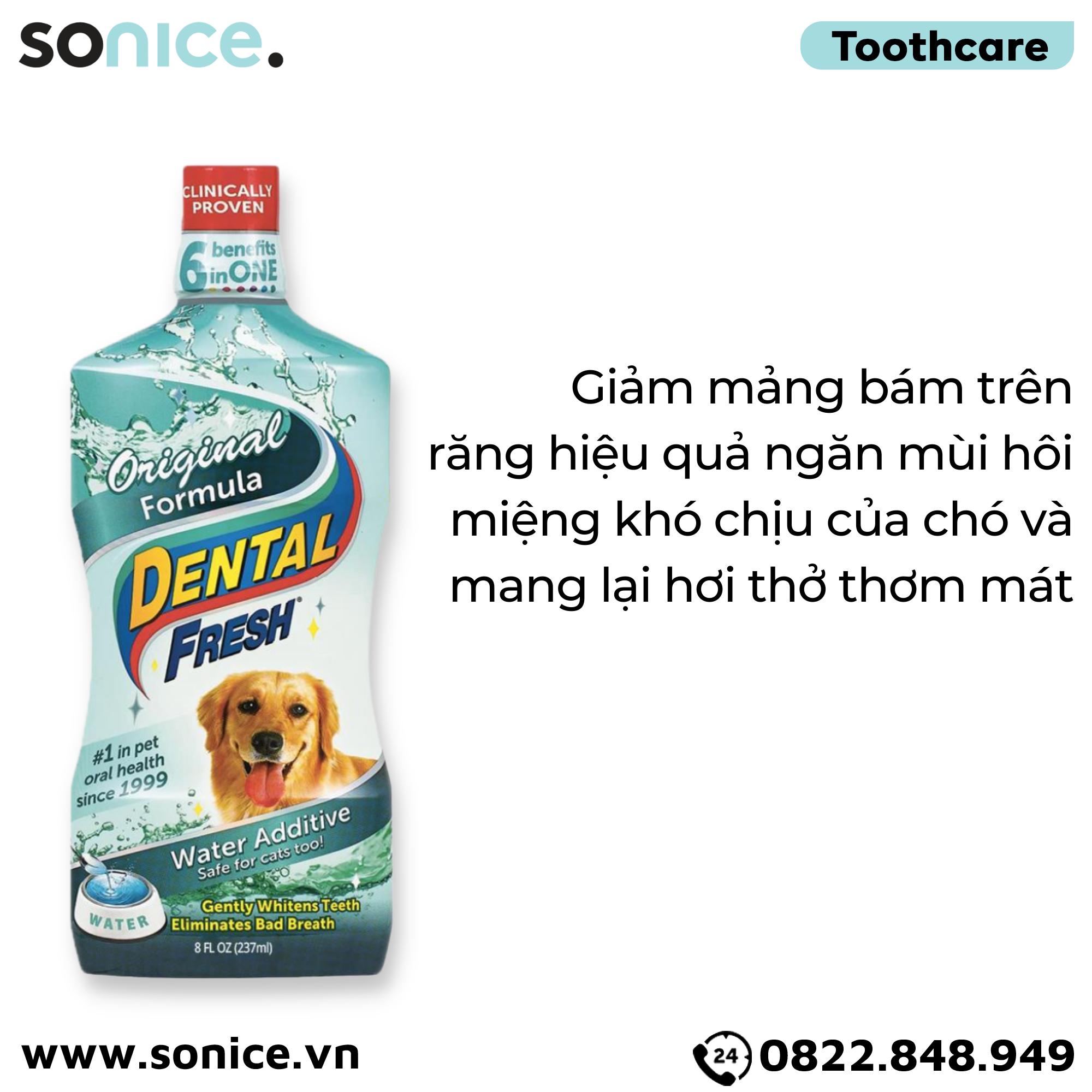  Dung dịch DENTAL FRESH Original giảm mảng bám răng ngừa hôi miệng tức thì - 237ml SONICE. 