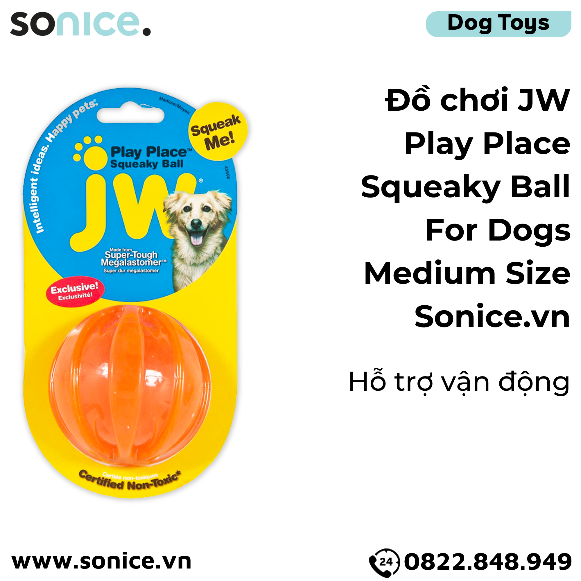  Đồ chơi JW Play Place Squeaky Ball for Dogs Medium Size - Hỗ trợ vận động cho chó SONICE. 