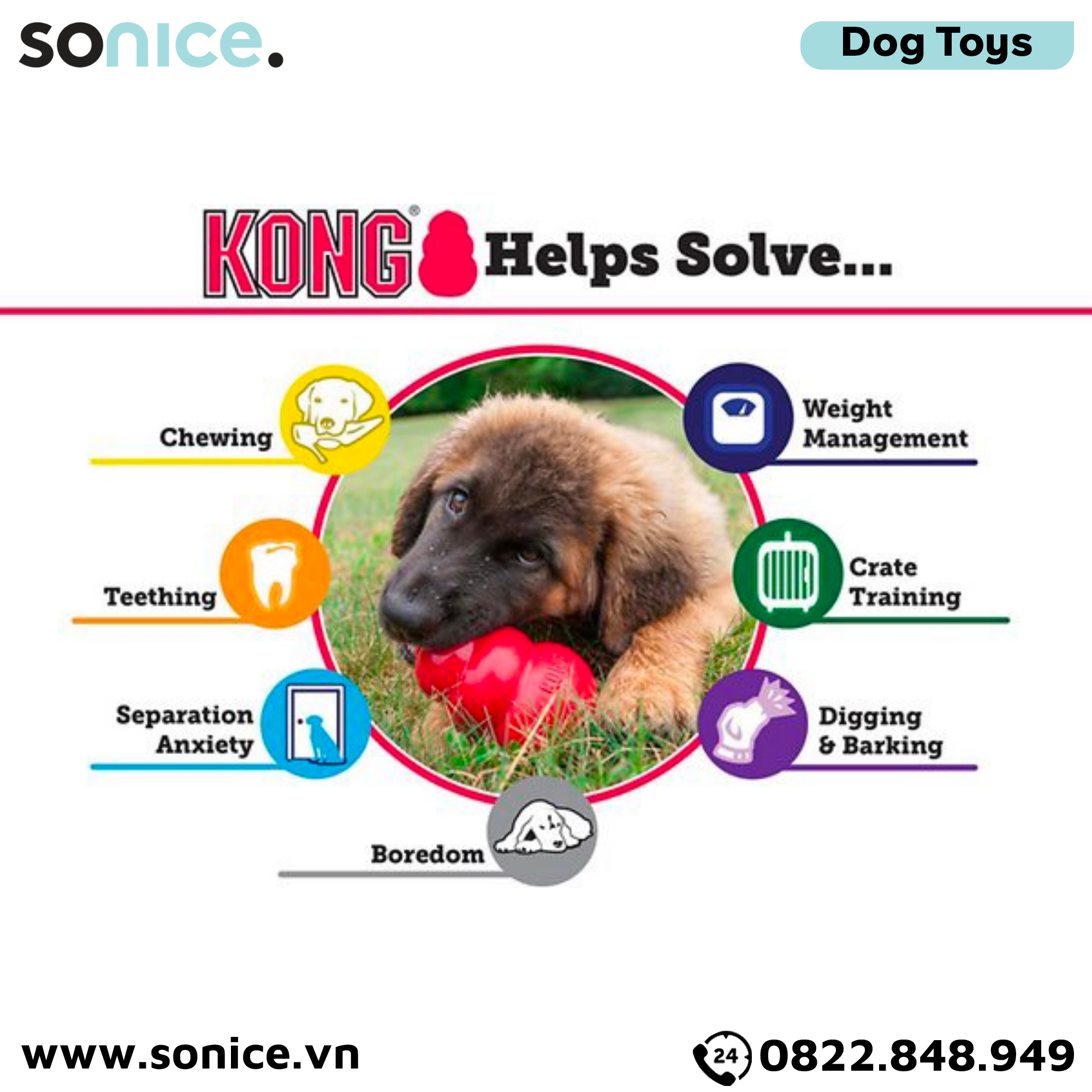  Đồ chơi KONG Classic Average Chewers Toys Large Size - Cho chó 13-30kg, có thể nhét treats bên trong SONICE. 