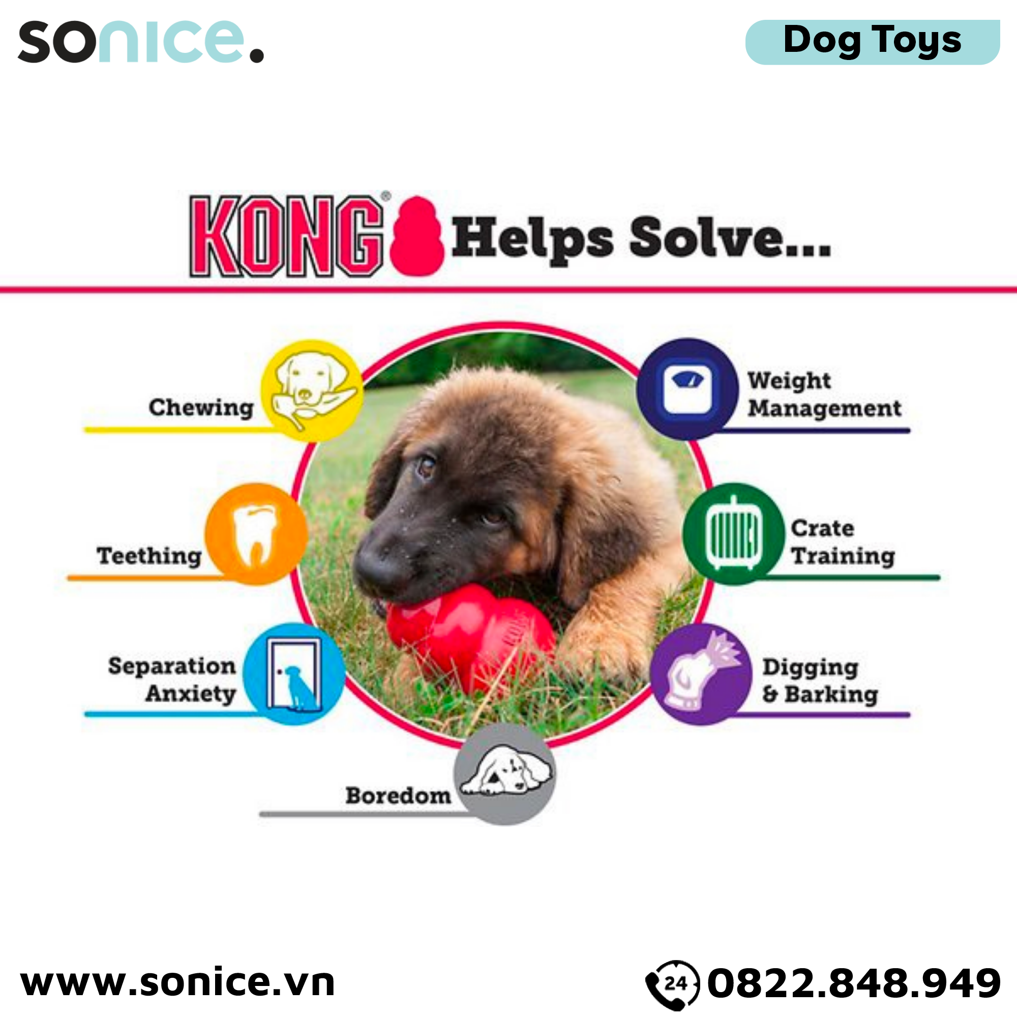  Đồ chơi Kong Puppy Toys Small Size - cho chó <9kg, có thể nhét treats SONICE. 