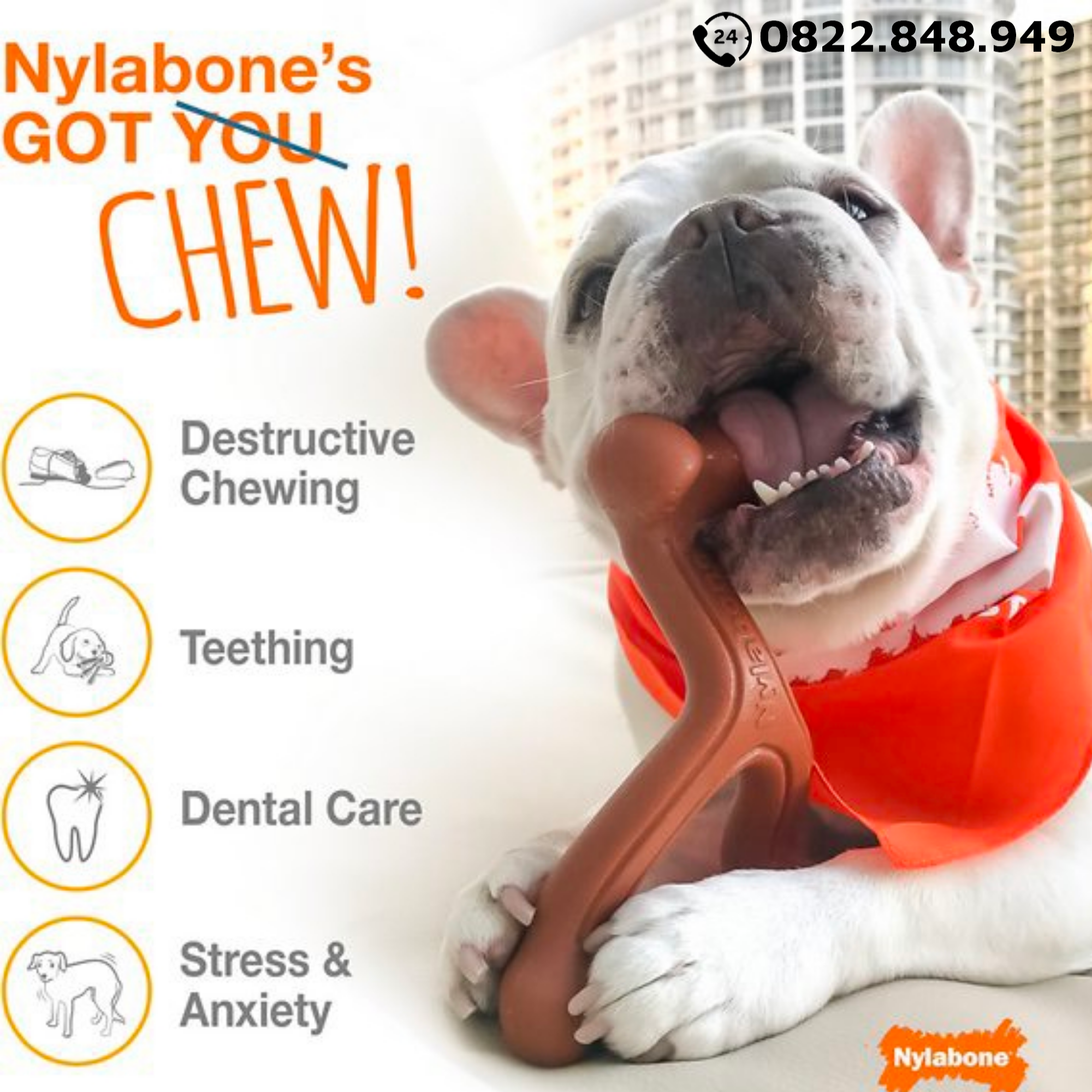  Đồ chơi Nylabone Power Chew Original Flavor Toys Medium Size - Vị nguyên bản, cho chó < 16kg SONICE. 