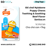  Đồ chơi Nylabone Puppy Chews Teething & Soothing Beef Flavor Toys - Vị thịt bò, cho chó con < 7kg SONICE. 