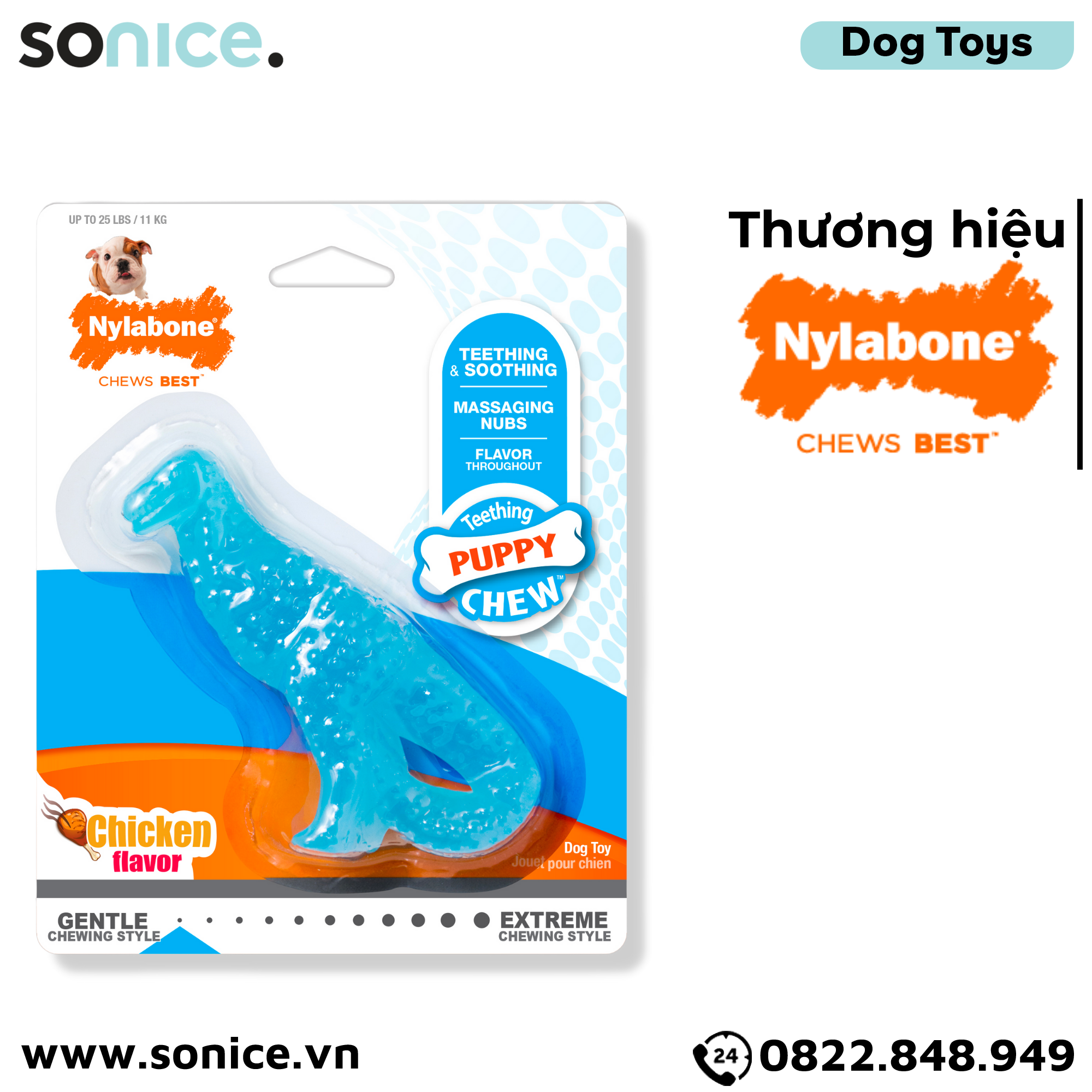  Đồ chơi Nylabone Teething Puppy Chew Toys - Con khủng long massage nướu, vệ sinh răng SONICE. 