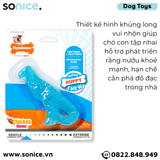  Đồ chơi Nylabone Teething Puppy Chew Toys - Con khủng long massage nướu, vệ sinh răng SONICE. 