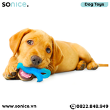  Đồ chơi Nylabone Teething Puppy Chew Toys - Con khủng long massage nướu, vệ sinh răng SONICE. 