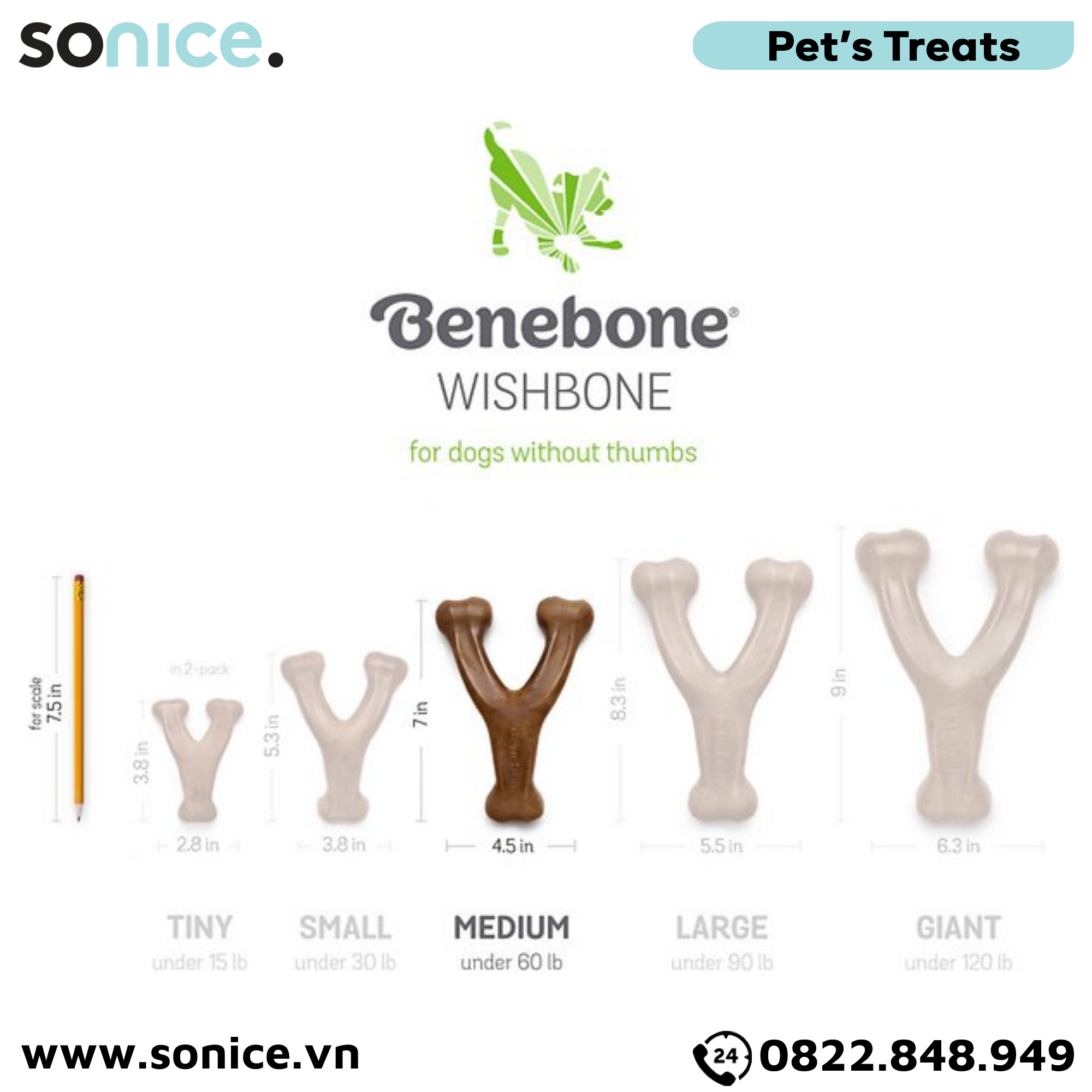  Xương gặm BENEBONE Wishbone Chew Bacon Medium Size cho chó >20kg - vị thịt xông khói SONICE. 