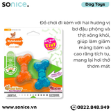  Đồ chơi Nylabone Flexi Chews Bone Peanut Butter & Bacon Flavor for Tiny dog Toys - Vị bơ đậu phộng và thịt xông khói, cho chó giống nhỏ < 4kg SONICE. 