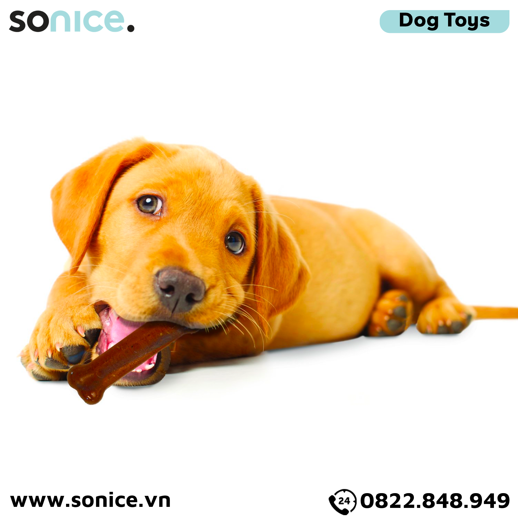  Đồ chơi Nylabone Puppy Chews Teething & Active Chewing Bone Chicken & Peanut Butter Flavor Toys - Vị thịt gà và bơ đậu phộng, cho chó con < 7kg SONICE. 